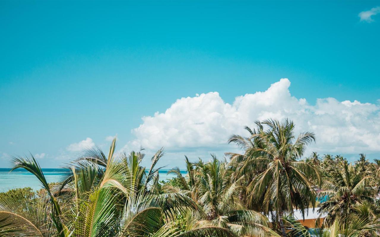 Tranquil Nest Vaavu Hotel Rakeedhoo Екстериор снимка